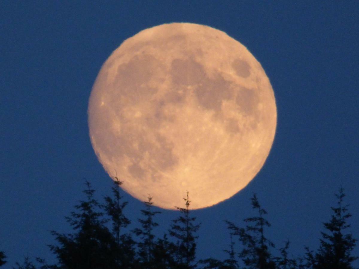 Hunters Moon B&B Tidworth Buitenkant foto